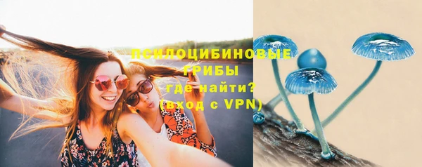 сатива Белокуриха