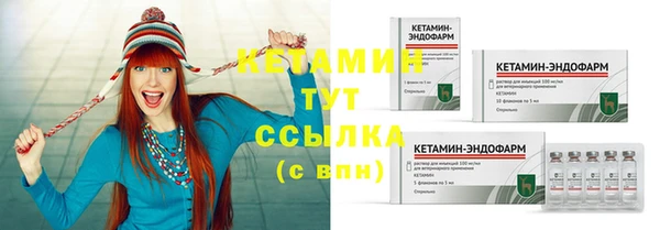 сатива Белокуриха