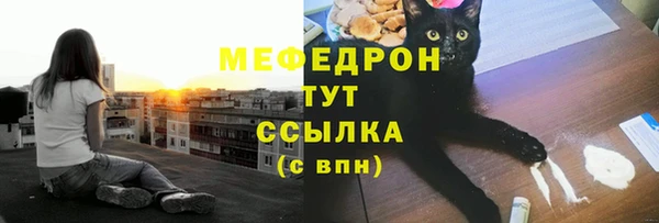 сатива Белокуриха