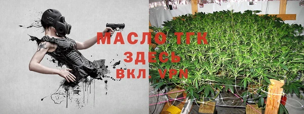 сатива Белокуриха