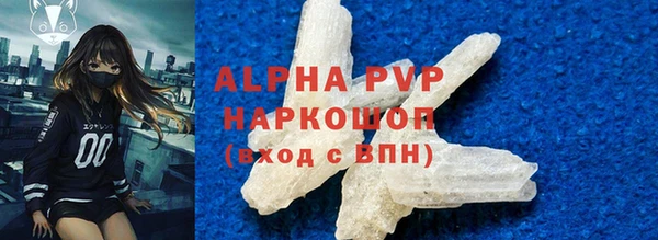сатива Белокуриха